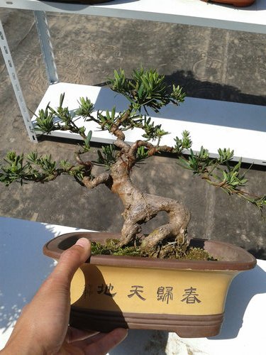 2013-04-26 13.22.28.jpg