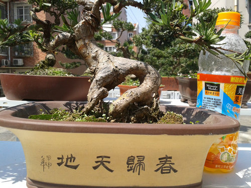 2013-04-26 13.24.18.jpg