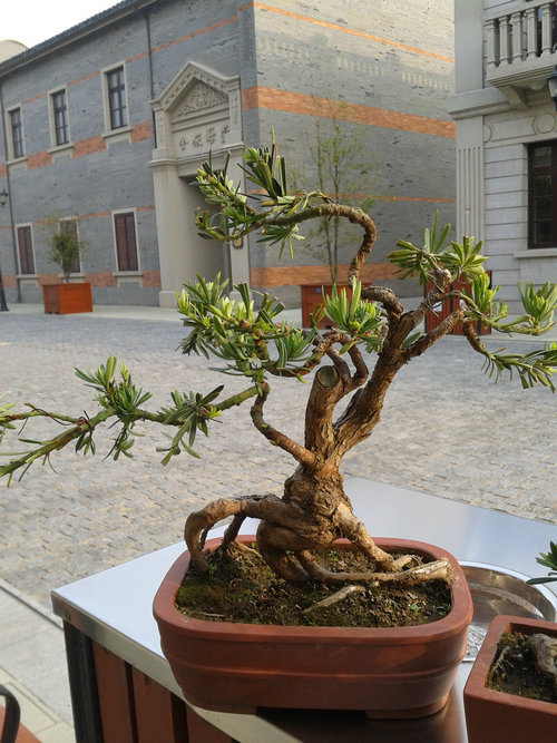 2013-04-21 16.28.13.jpg