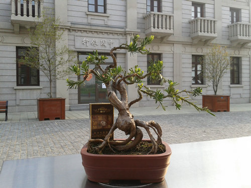 2013-04-21 16.28.54.jpg