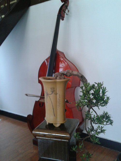 2013-05-01 12.21.37.jpg