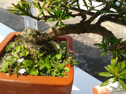 2013-04-12 12.49.34.jpg