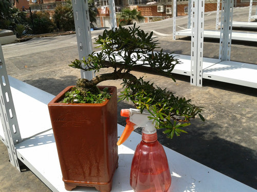 2013-04-12 12.49.20.jpg