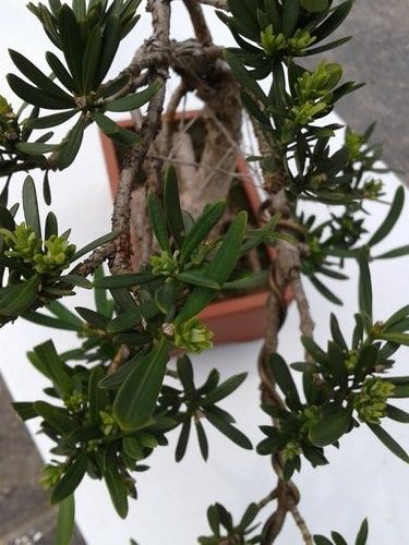 2013-04-22 13.23.38.jpg