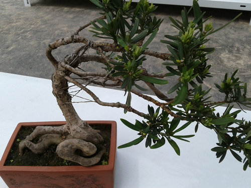 2013-04-22 13.23.55.jpg