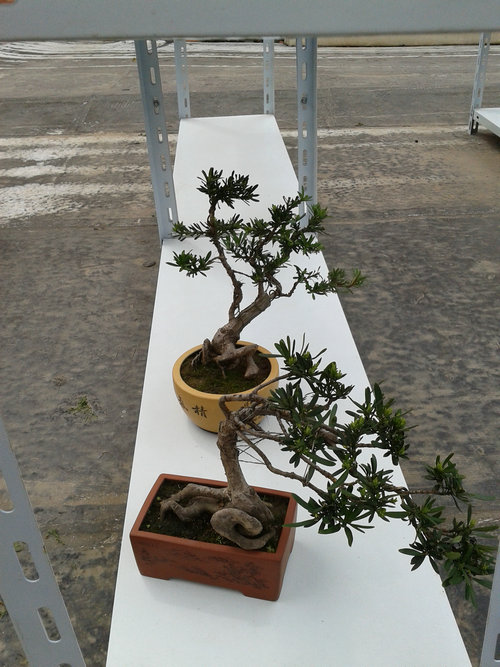 2013-04-22 13.30.45.jpg
