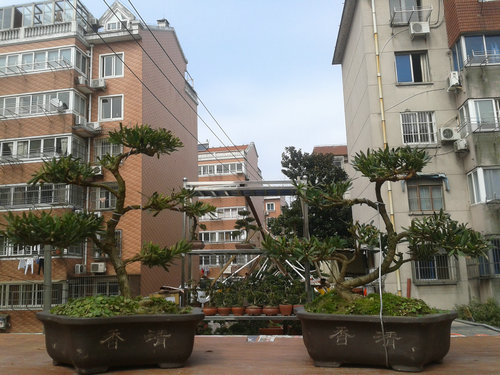2013-02-28 13.10.27.jpg