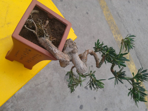 2013-04-17 17.07.28.jpg