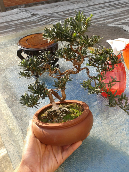 2013-04-06 16.05.24.jpg