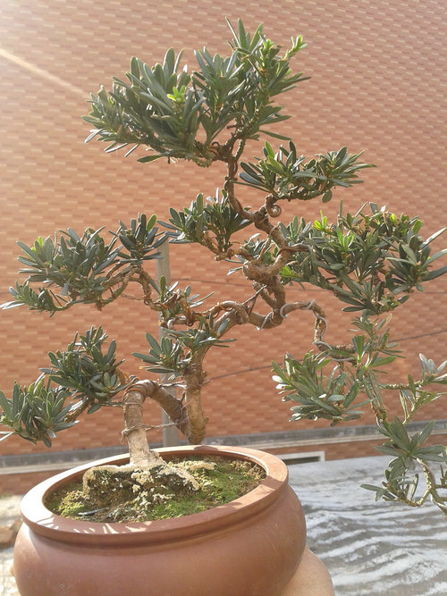 2013-04-06 16.06.00.jpg