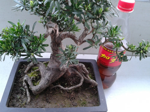 2013-04-17 17.34.20.jpg