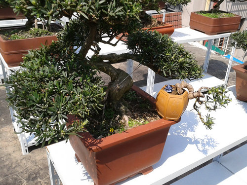 2013-04-28 13.43.43.jpg