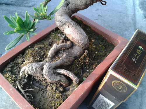 2013-04-21 16.46.24.jpg