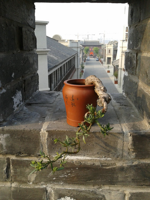 2013-04-21 16.43.37.jpg