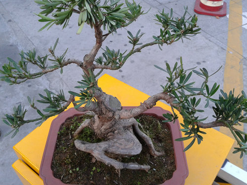 2013-04-15 17.34.25.jpg