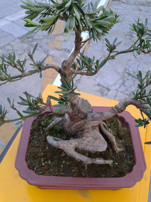 2013-04-15 17.35.23.jpg