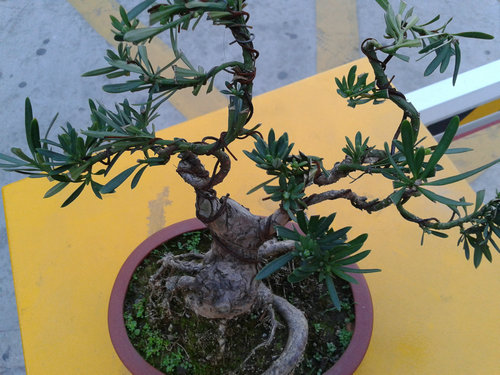 2013-04-15 17.32.38.jpg