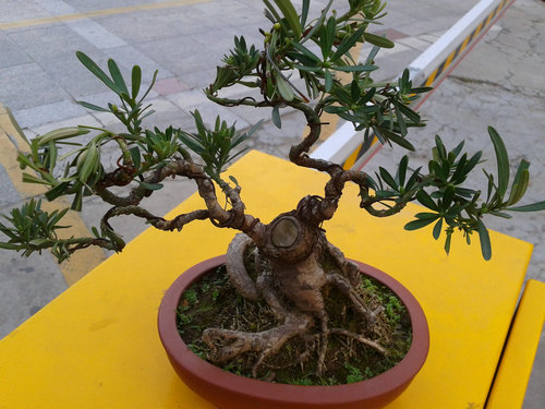 2013-04-15 17.30.29.jpg