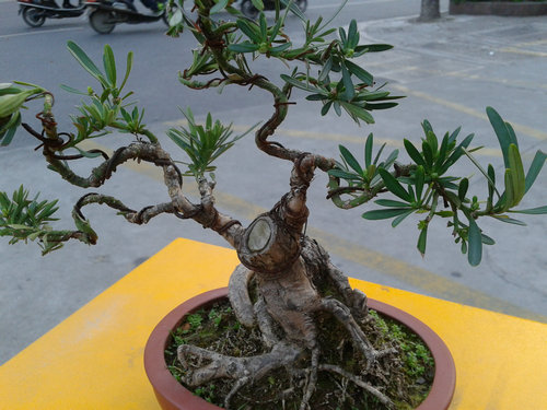 2013-04-15 17.30.41.jpg