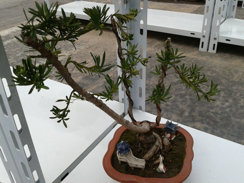 2013-04-22 13.34.55.jpg