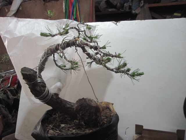 0506���� 001.jpg