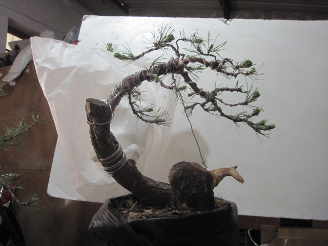 0506���� 002.jpg