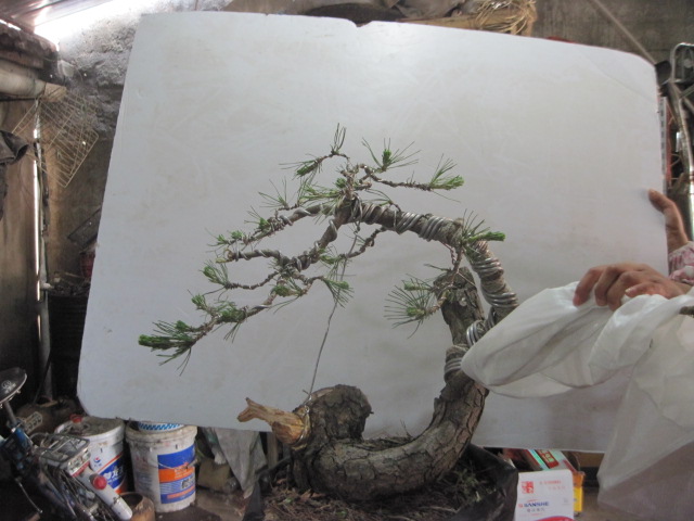 0506���� 003.jpg