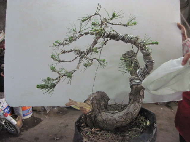 0506���� 004.jpg