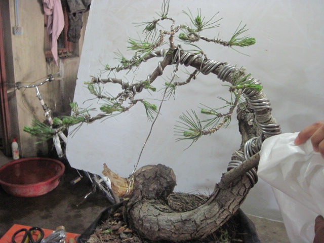 0506���� 006.jpg