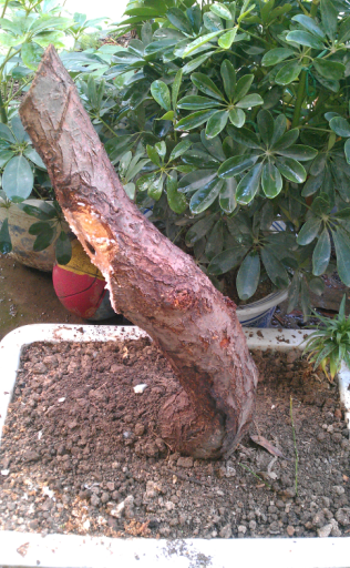 QQͼ20130506200408.png