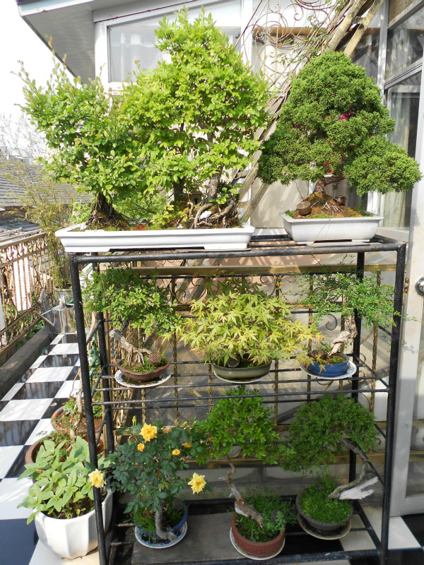 DSCN0658_meitu_3.jpg