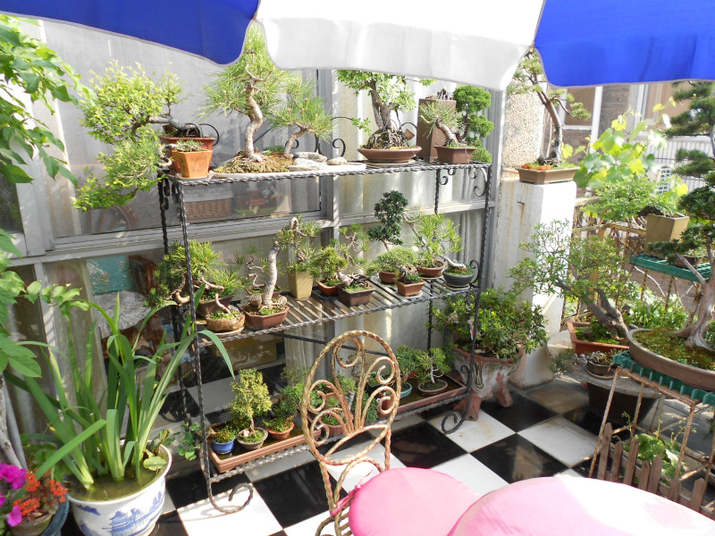 DSCN0656_meitu_2.jpg