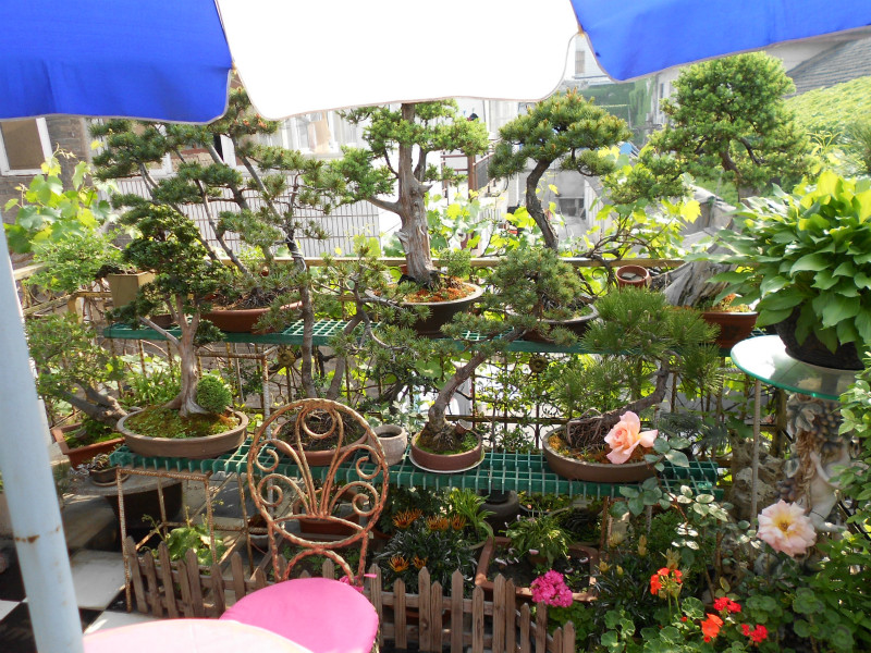 DSCN0657_meitu_1.jpg