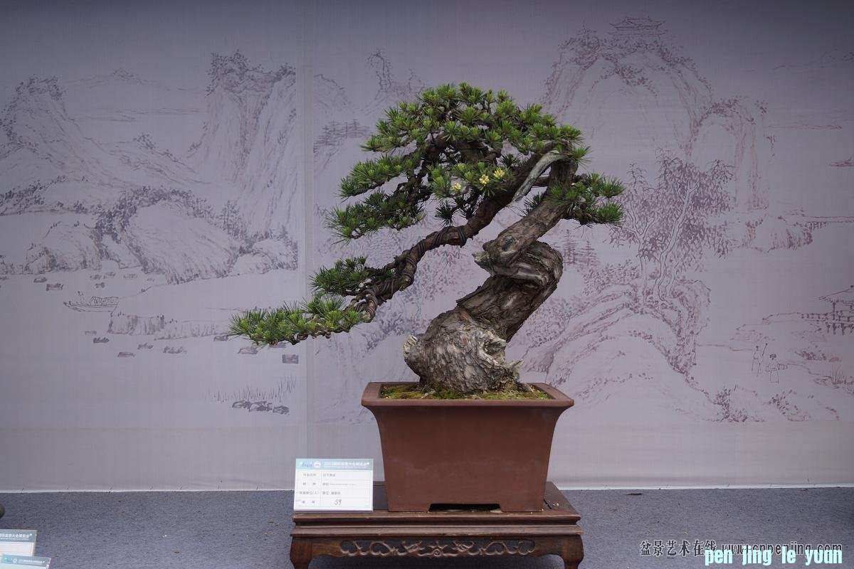 2013ݹ辰.jpg