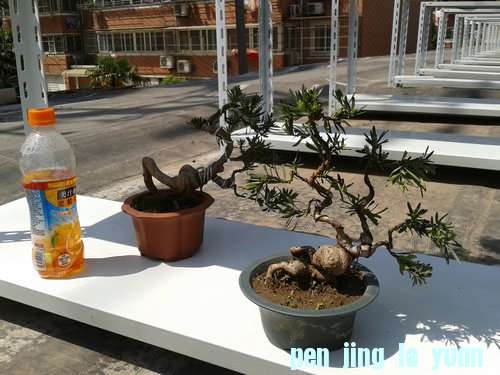 2013-04-26 13.30.17.jpg