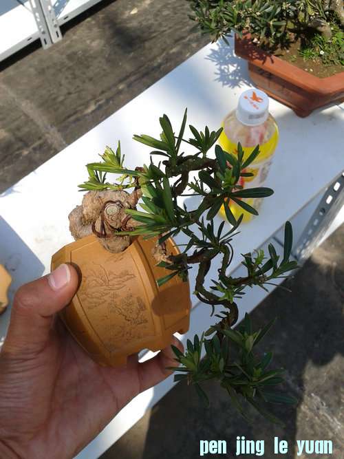 2013-04-28 13.42.32.jpg