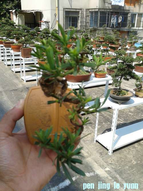 2013-04-28 13.42.56.jpg