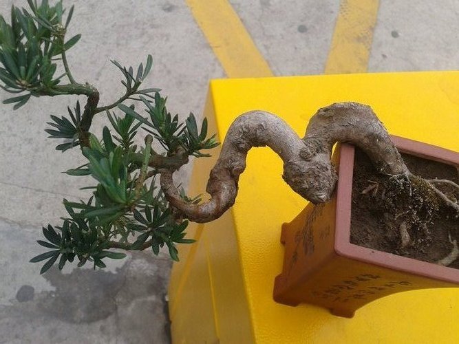 2013-04-17 17.06.44.jpg