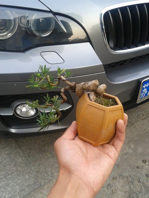 2013-04-17 17.13.45.jpg