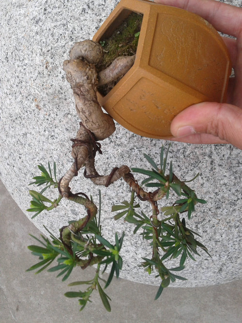 2013-04-17 17.14.32.jpg