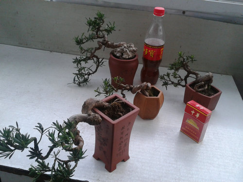 2013-04-17 17.22.07.jpg