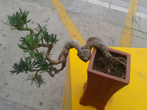 2013-04-17 17.06.31.jpg