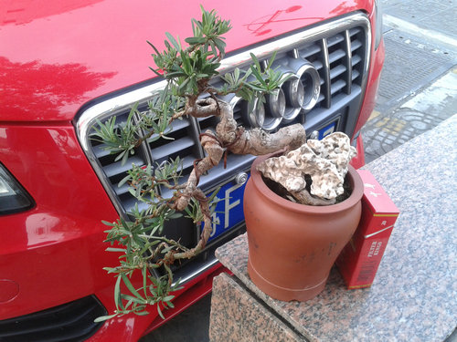 2013-04-17 17.11.41.jpg