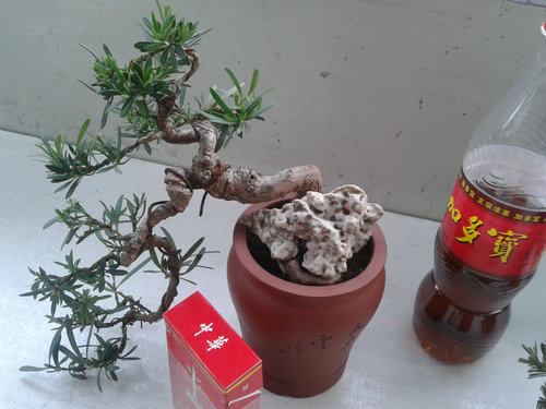 2013-04-17 17.23.10.jpg