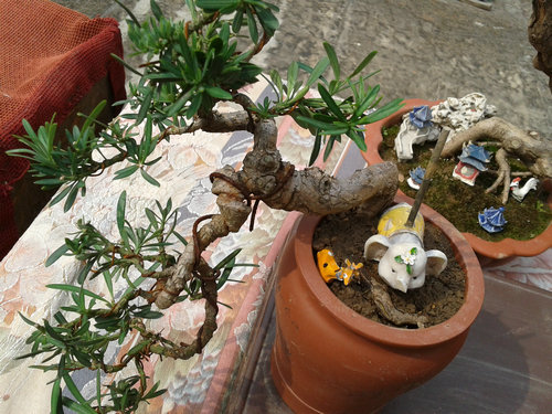 2013-04-18 14.20.53.jpg