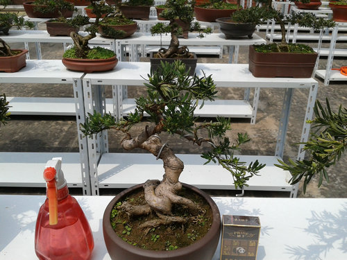 2013-04-21 12.53.30.jpg