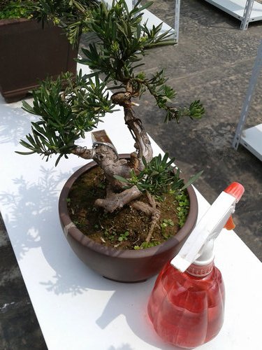 2013-04-21 12.56.01.jpg