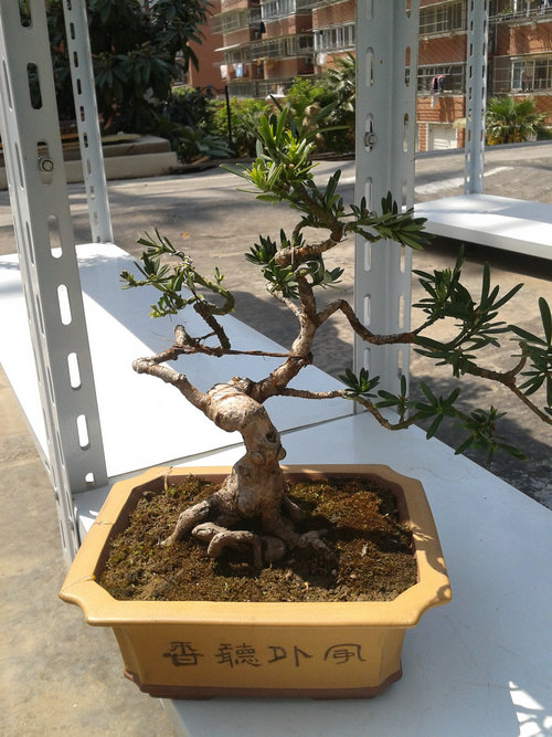 2013-04-28 13.27.00.jpg