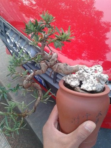 2013-04-17 17.10.23.jpg