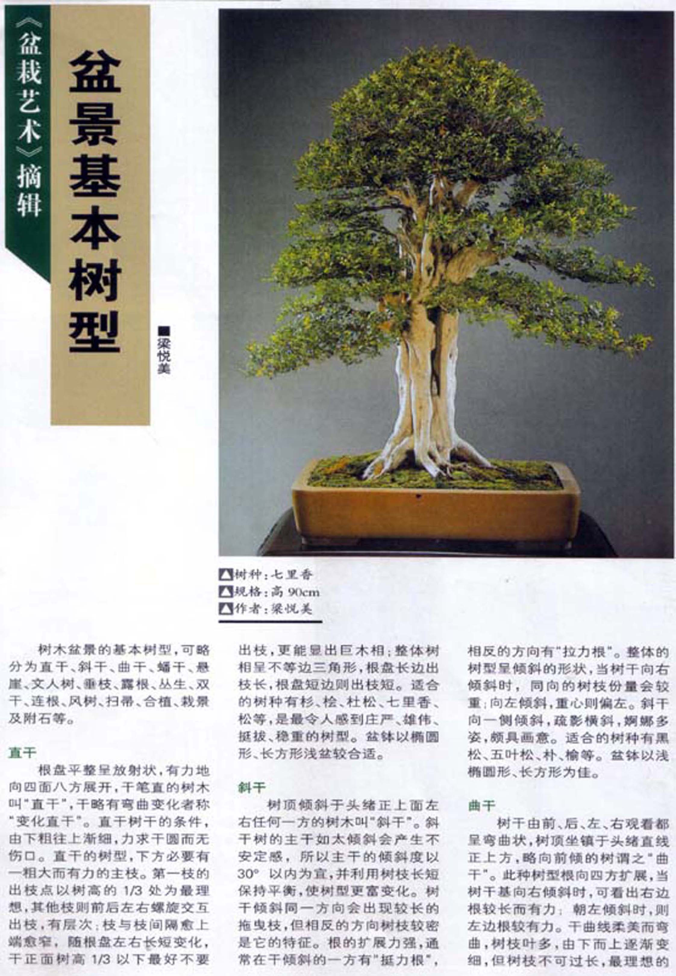 5-͡ľ辰10-6.jpg